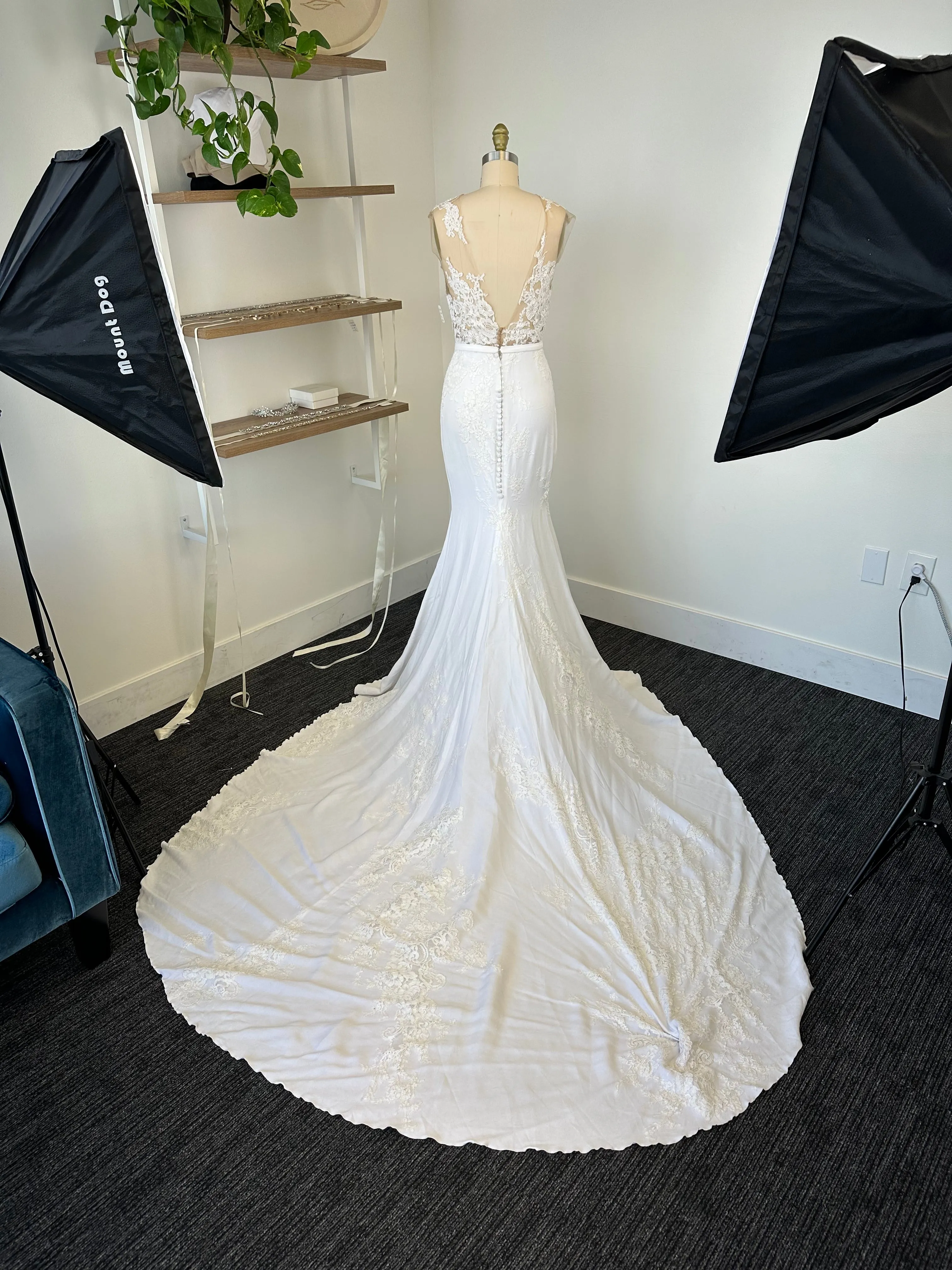C / Pronovias Vincente Size 8